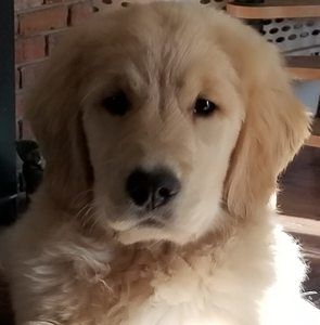 Meet your Posher, Marla